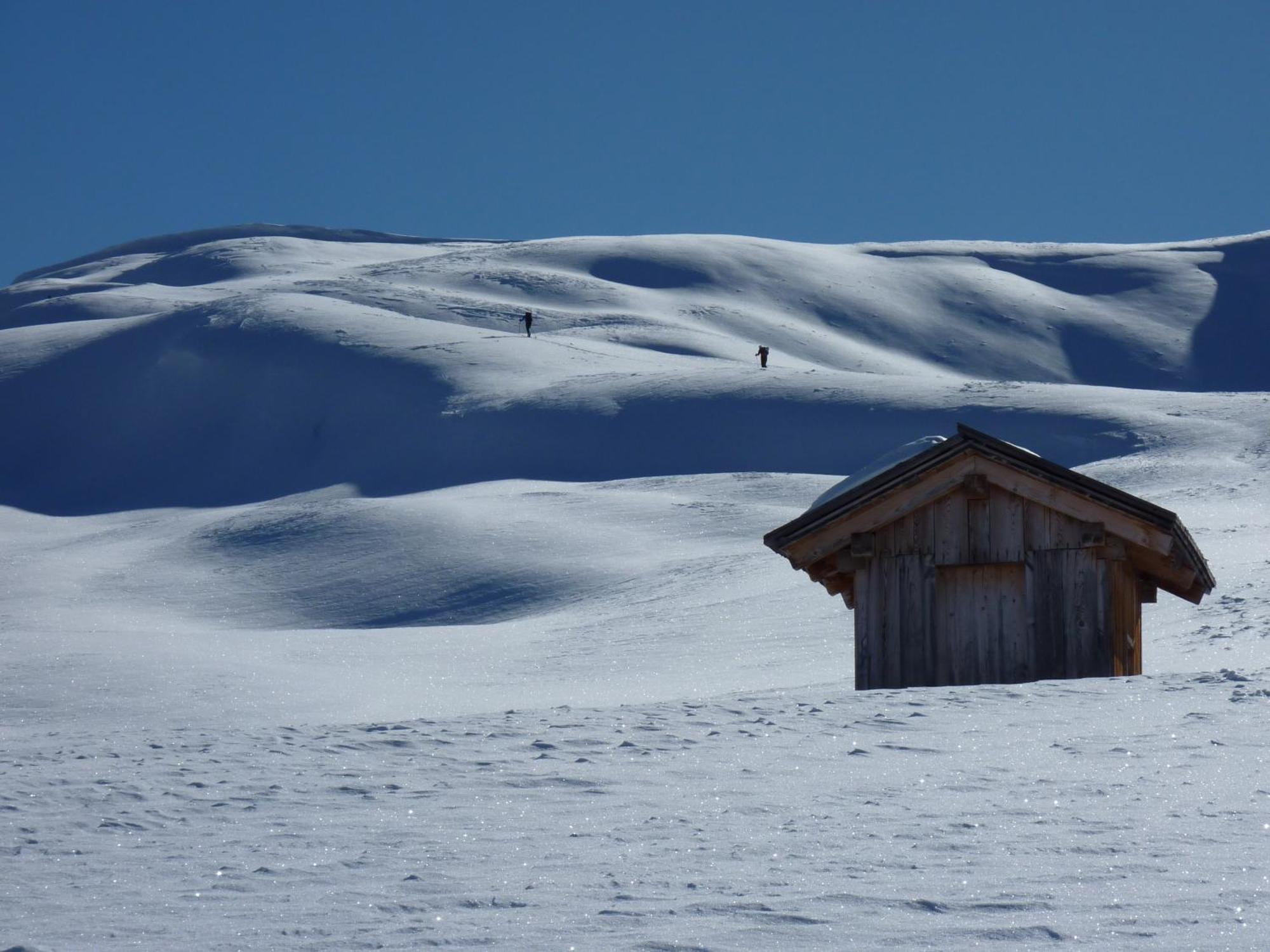 Apparthotel Bio Natur Refugium Blaslahof Santa Maddalena in Casies Exterior foto